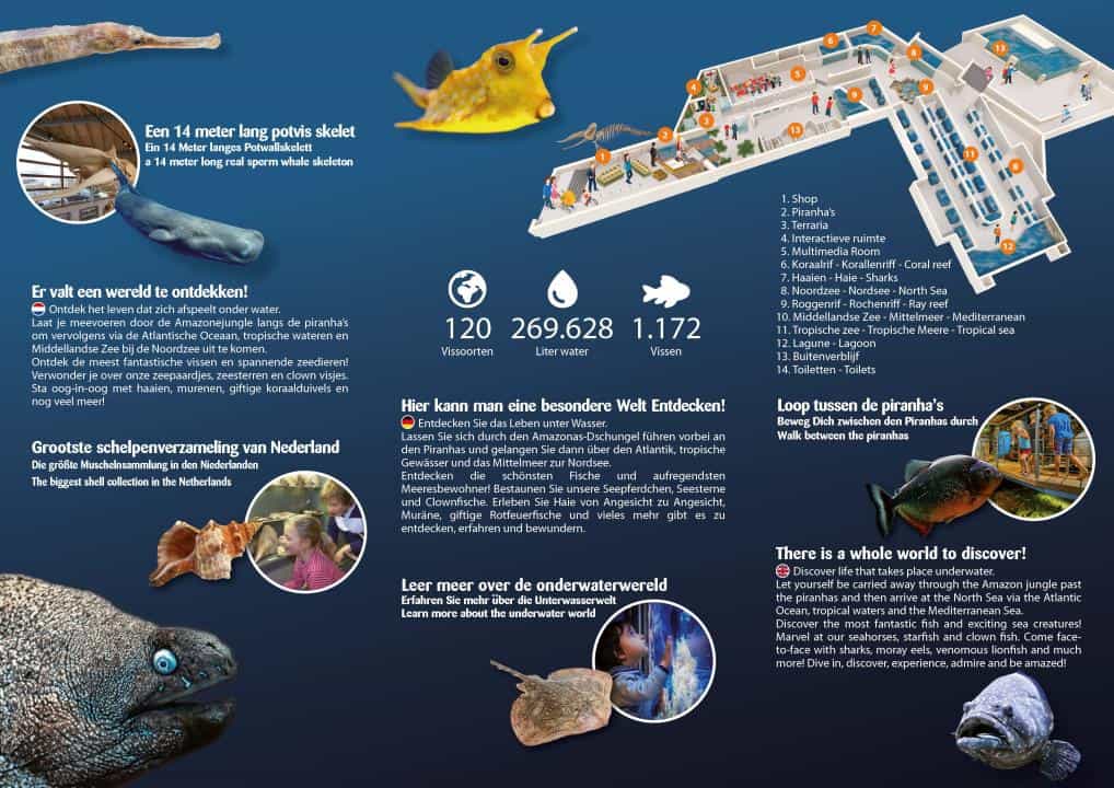 Zee Aquarium Bergen Aan Zee - Afbeelding 2