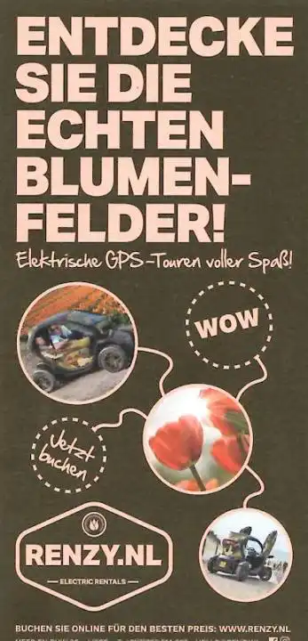 Renzy Electric Rentals - Lisse - Afbeelding 2