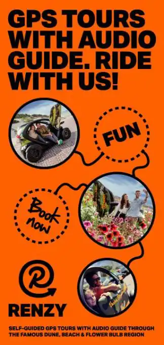 Renzy Electric Rentals - Lisse