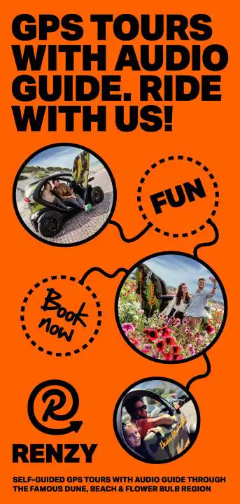 Renzy Electric Rentals - Lisse