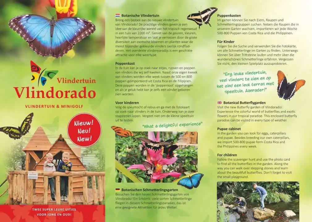 Vlindertuin Vlindorado - Waarland - Afbeelding 2