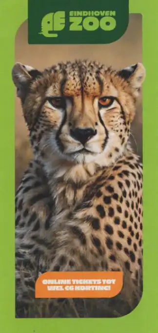 Eindhoven Zoo - Mierlo