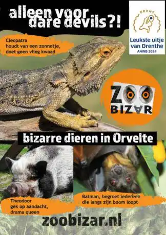 Zoo Bizar - Kleinschalige dierentuinervaring vol bizarre, wonderlijke en exotische beestjes op laagdrempelige en originele wijze