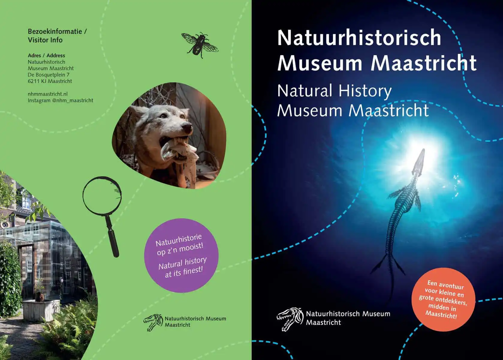 Natuurhistorisch Museum Maastricht - Ontmoet Bèr - Mosasaurus Experience - Afbeelding 3