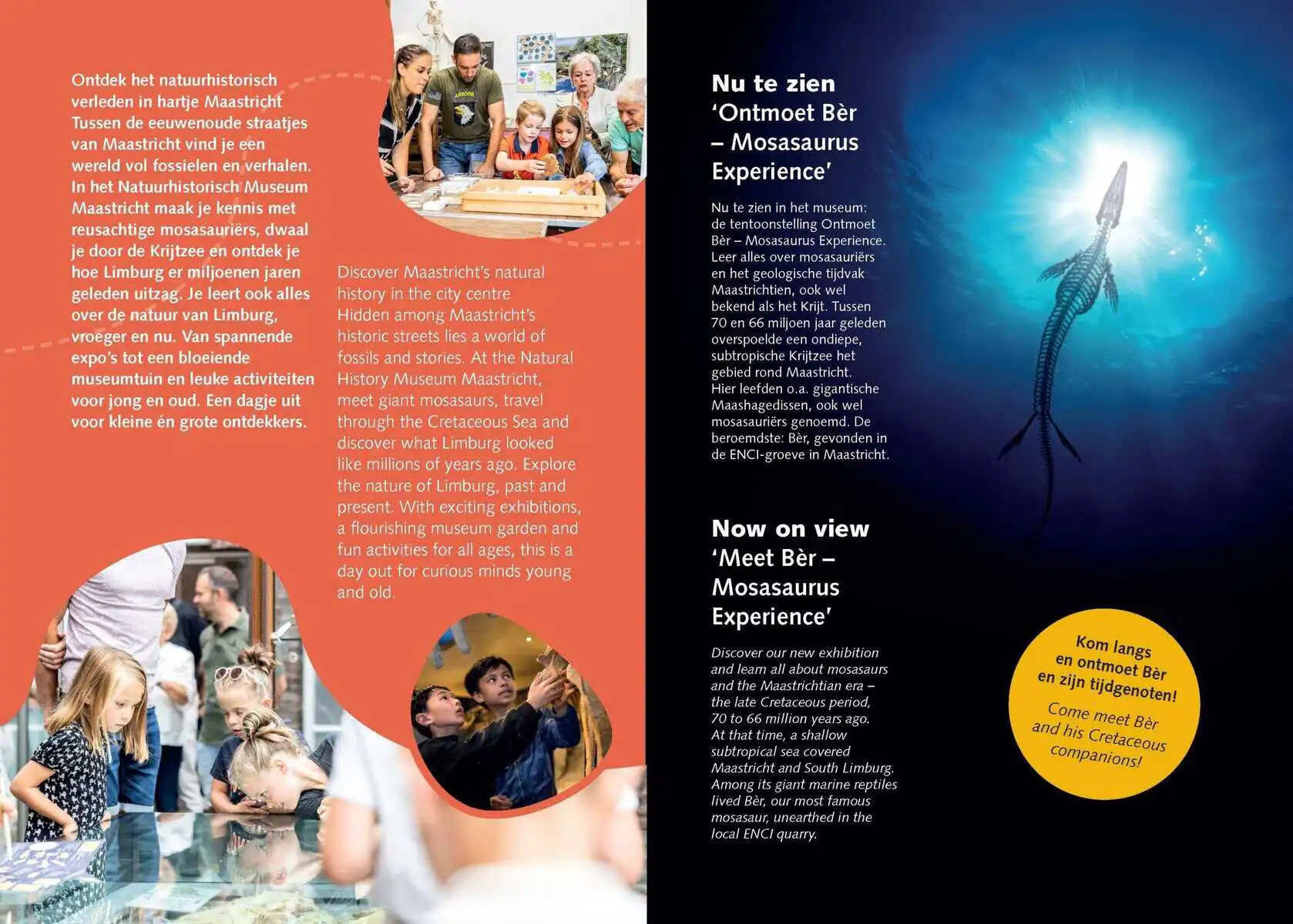 Natuurhistorisch Museum Maastricht - Ontmoet Bèr - Mosasaurus Experience - Afbeelding 2