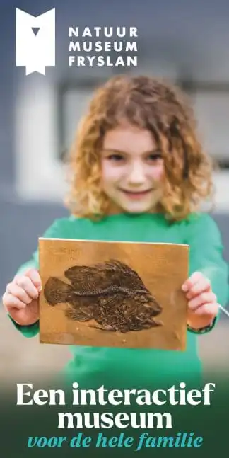 Natuurmuseum Fryslân in Leeuwarden heeft iets leuks: de OnderWaterSafari!