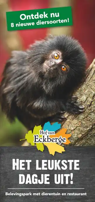 In Hof van Eckberge is van alles te doen: bowlen, lasergamen, trampolinespringen en meer!