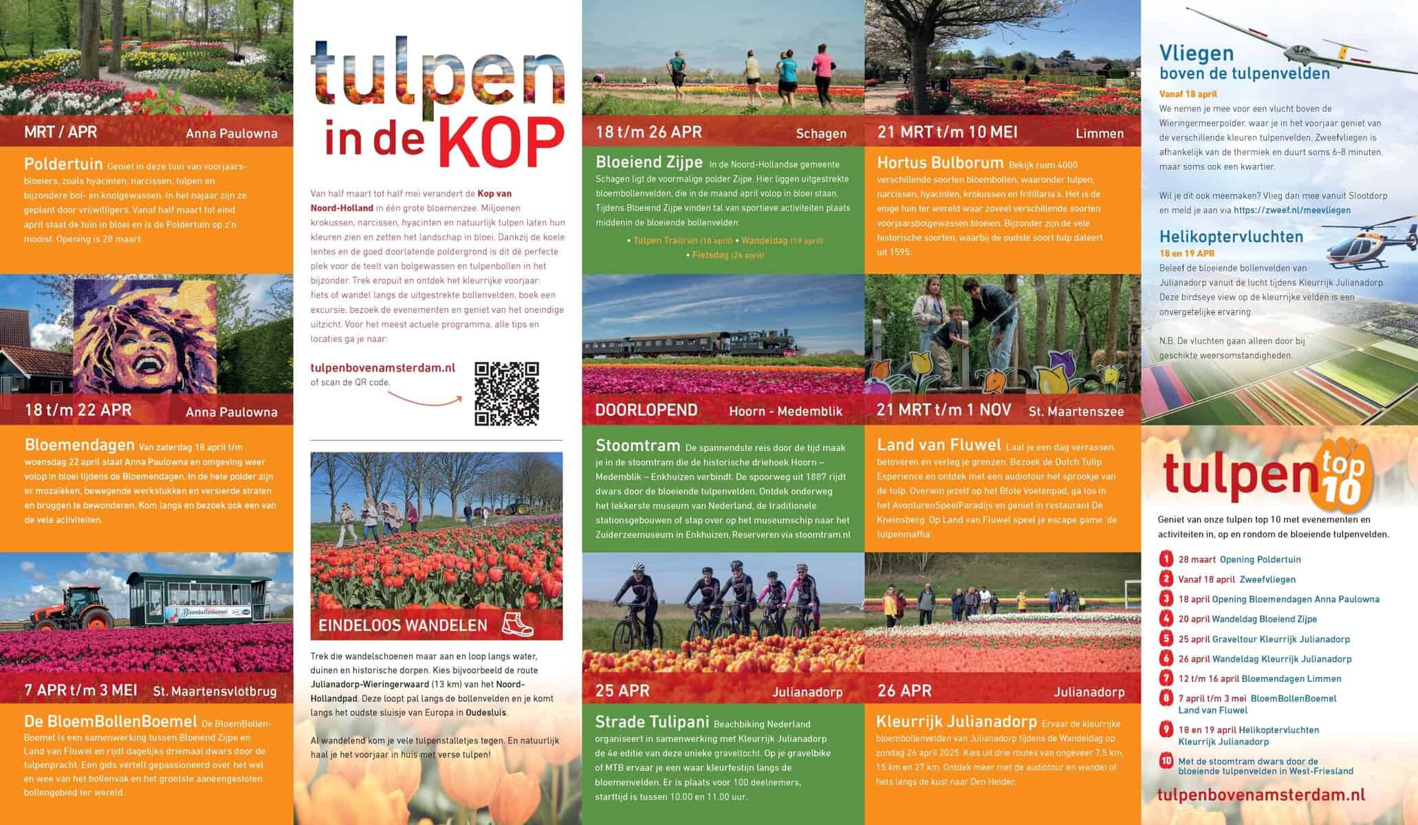 Tulpen boven Amsterdam - Afbeelding 3